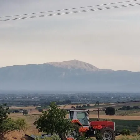 Sevasti Отель Катерини