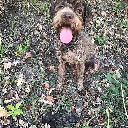 Отель Sevasti Катерини