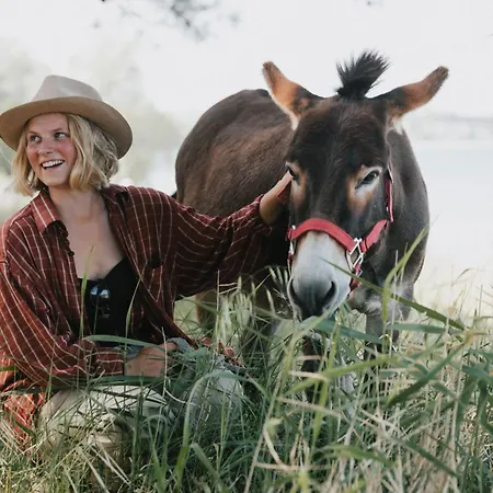 Sevasti 4* Катерини