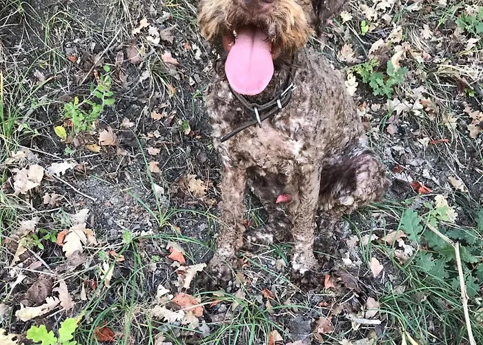 Hotel Sevasti Kateríni