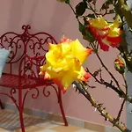Sevasti 酒店 卡泰里尼