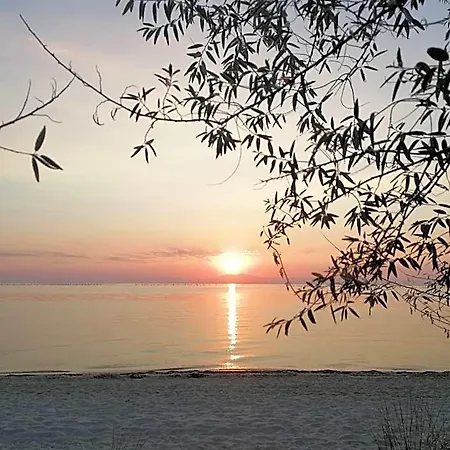 Sevasti