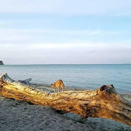 Sevasti