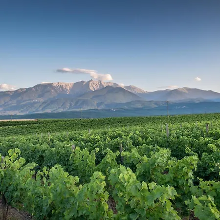 Sevasti 卡泰里尼